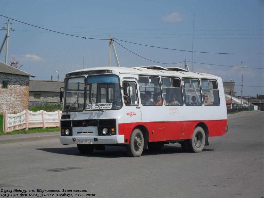 Sharkovshina, PAZ-3205-110 (32050R) No. 40312