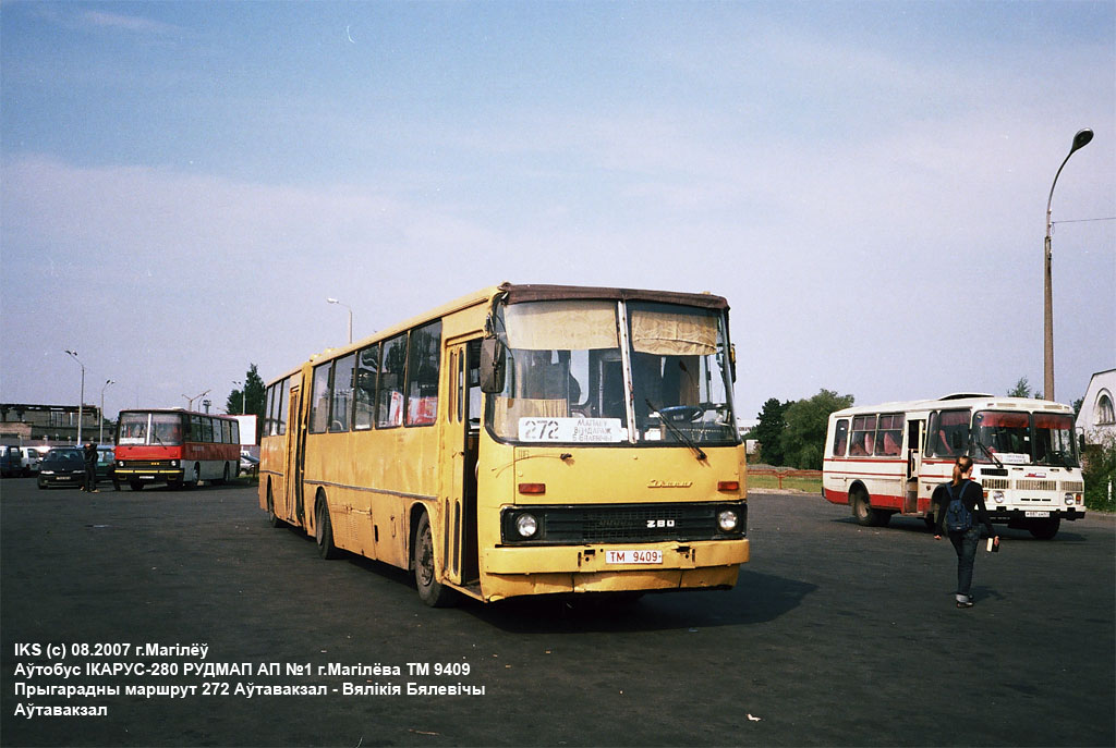 Mogilev, Ikarus 280.03 No. 1116