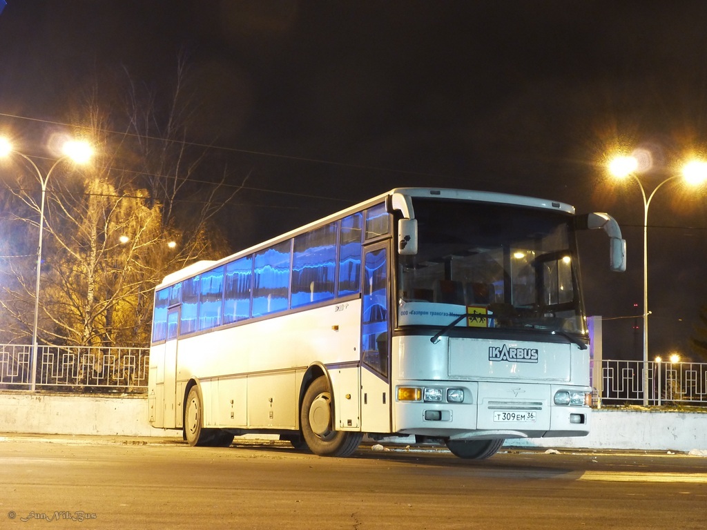 Воронеж, Ikarbus IK-301 № Т 309 ЕМ 36