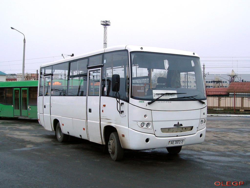 Орша, МАЗ-256.270 № 20036