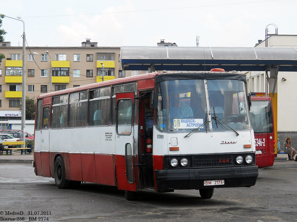 Витебск, Ikarus 256.** № 033065