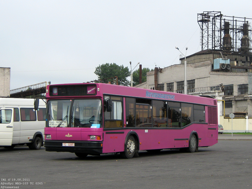 Mogilev, MAZ-103.062 No. 1079