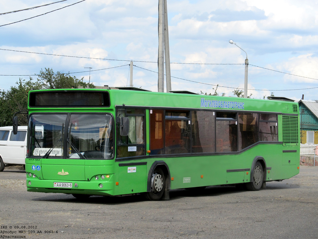 Кричев, МАЗ-103.462 № 10294