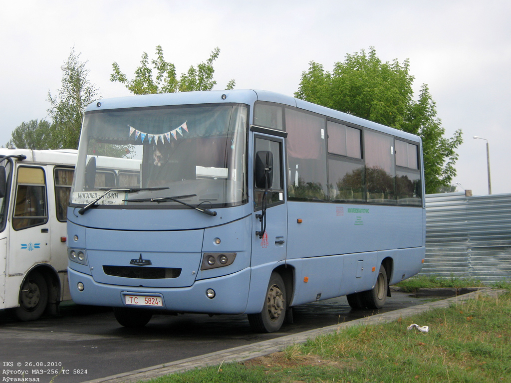 Gorki, MAZ-256.200 č. ТС 5824
