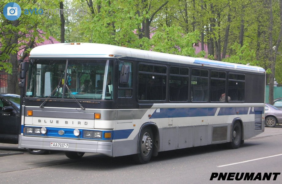 Minsk, Blue Bird Q Bus # АА 7937-7