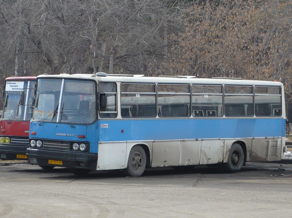 Zheleznogorsk (Krasnoyarskiy krai), Ikarus 256.74 č. АЕ 233 24