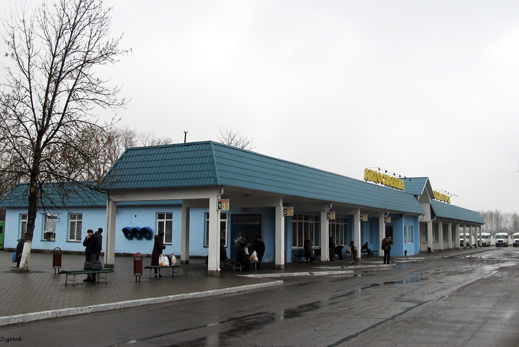Bus terminals, bus stations, bus ticket office, bus shelters; Svetlogorsk — Miscellaneous photos