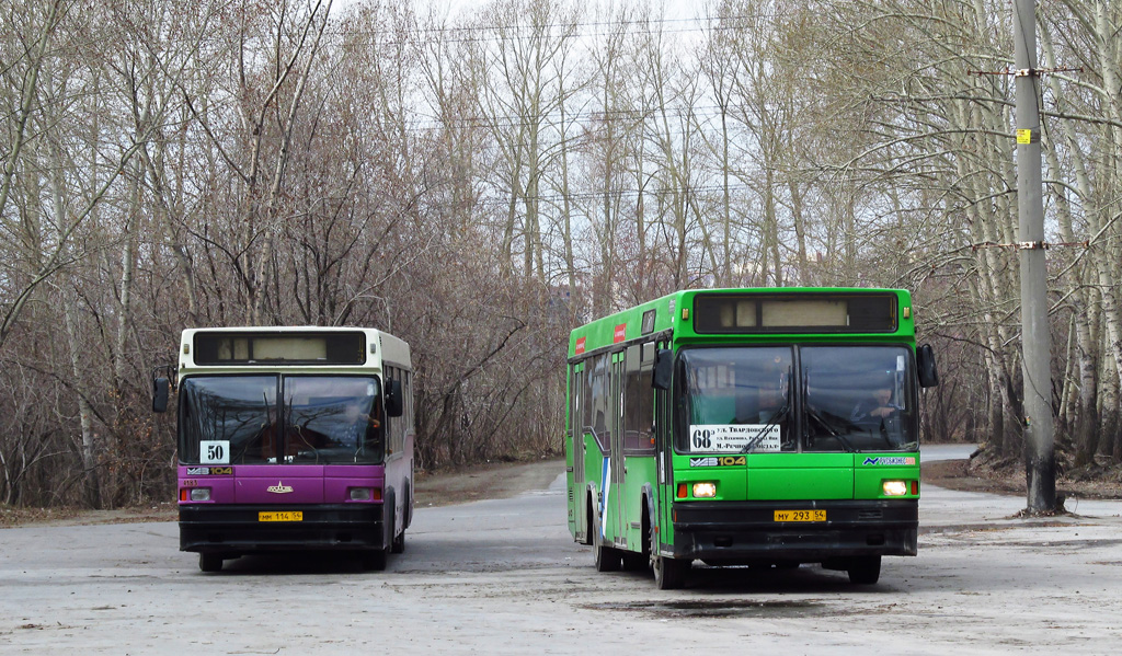 Novosibirsk, MAZ-104.021 № 4183; Novosibirsk, MAZ-104.021 № 4113; Novosibirsk — The final stops, terminals and stations