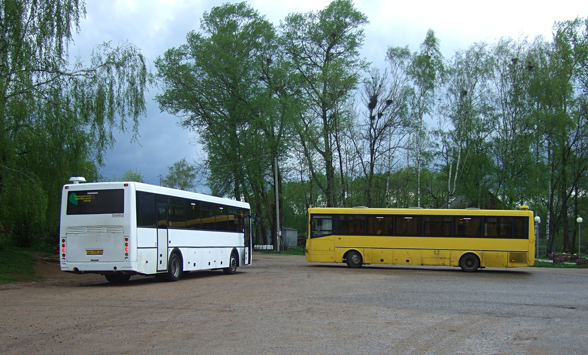 Rameshki, LiAZ-5256.33-01 (GolAZ) # АМ 175 69; Kimry, LiAZ-5256.33 (GolAZ) # АВ 946 69; Rameshki — Miscellaneous photos