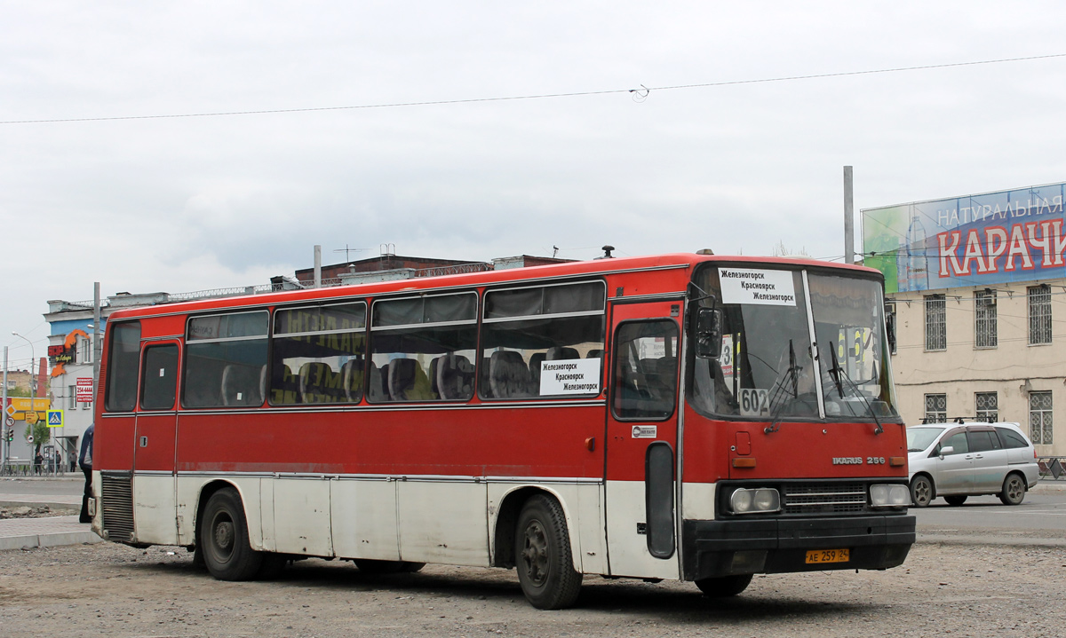 Железногорск (Красноярский край), Ikarus 256.74 № АЕ 259 24