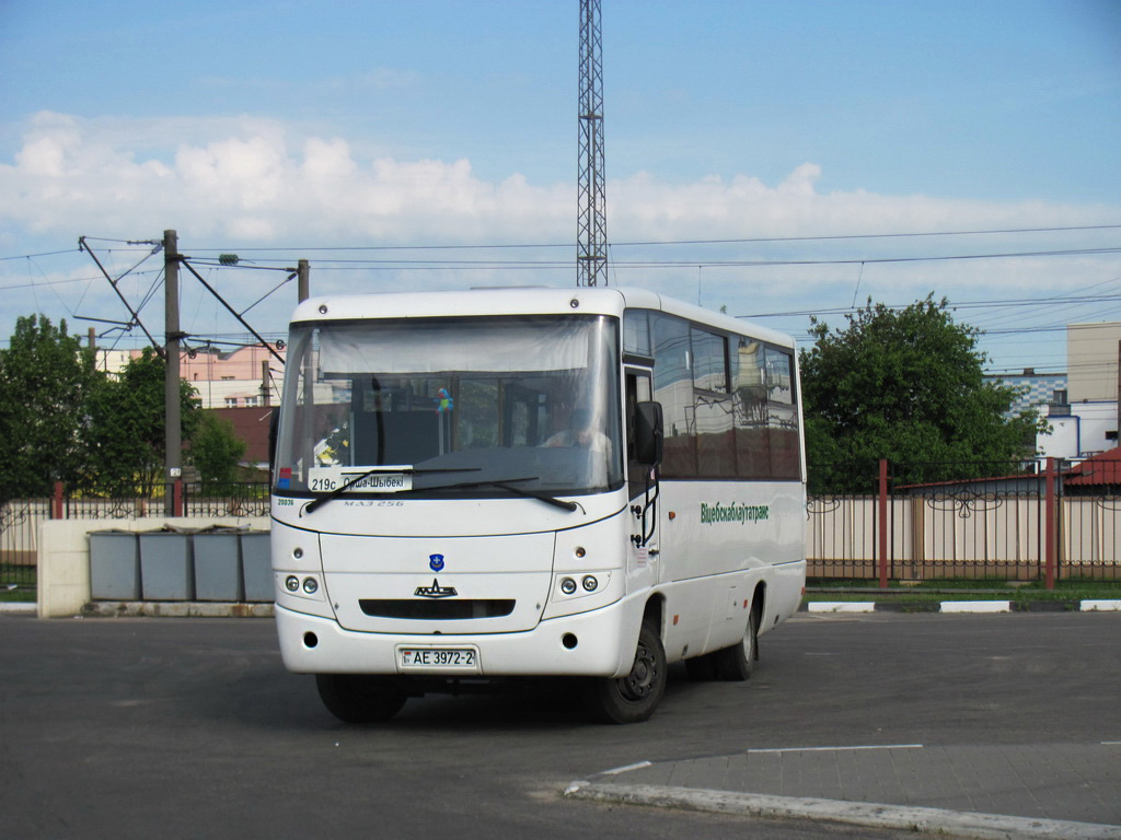 Орша, МАЗ-256.270 № 20036