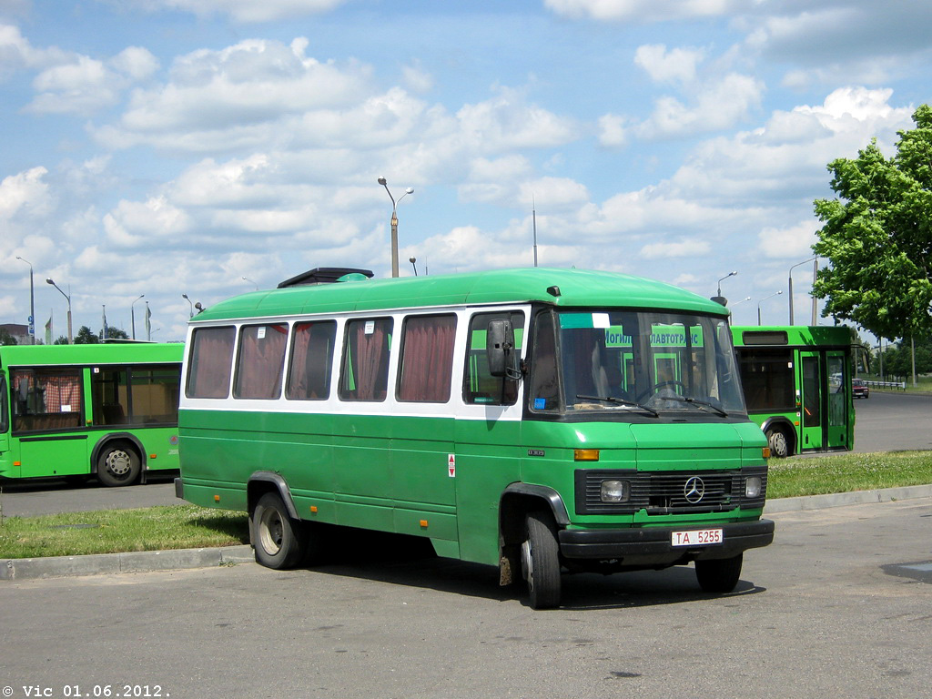 Bobruysk, Mercedes-Benz O309D # ТА 5255