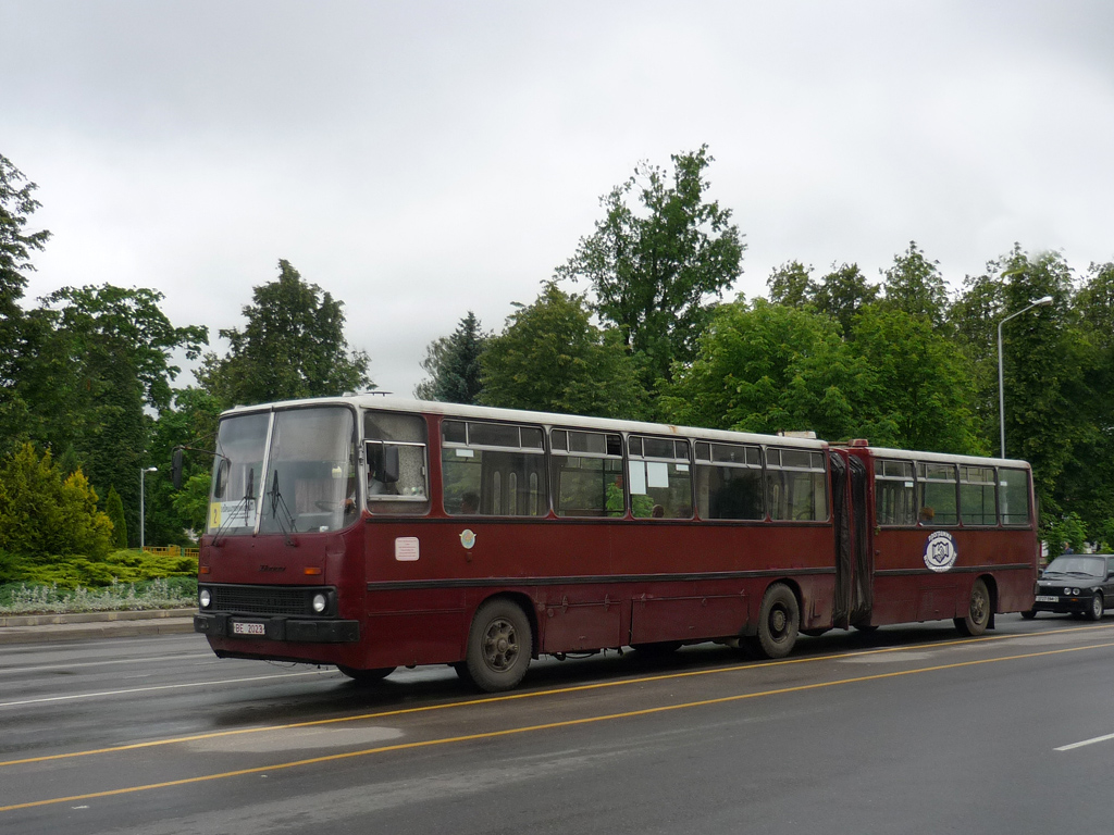 Orsha, Ikarus 280.08 # 10091