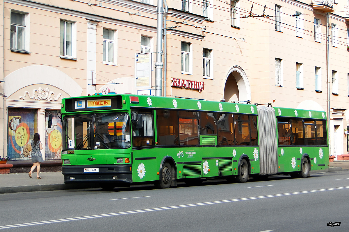 Gomel, MAZ-105.060 # 0663 АМ-3
