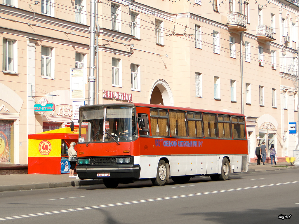 Gomel, Ikarus 250.59 # 013528