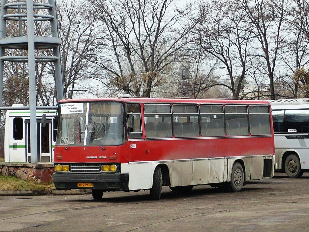Zheleznogorsk (Krasnoyarskiy krai), Ikarus 256.74 № АЕ 249 24