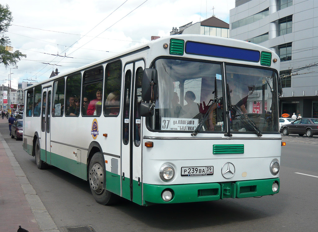 Kaliningrad, Mercedes-Benz O307 # Р 239 ВА 39