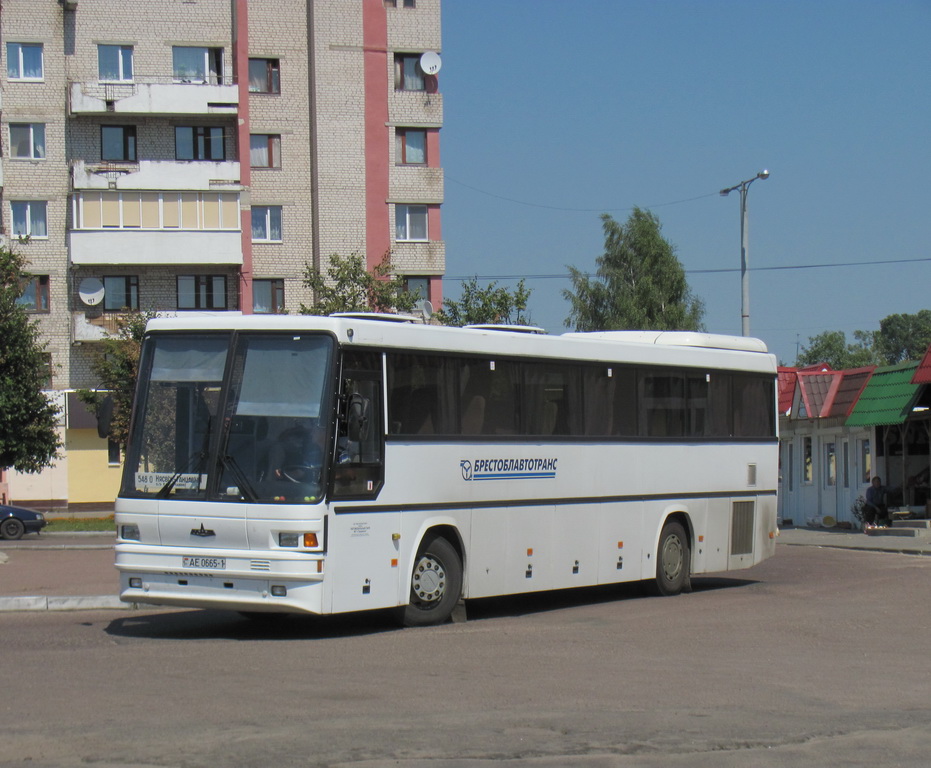 Ганцевичи, МАЗ-152.062 № АЕ 0665-1