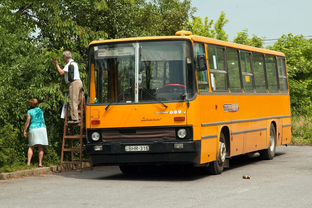 Ungaria, other, Ikarus 260.32 nr. BHR-316