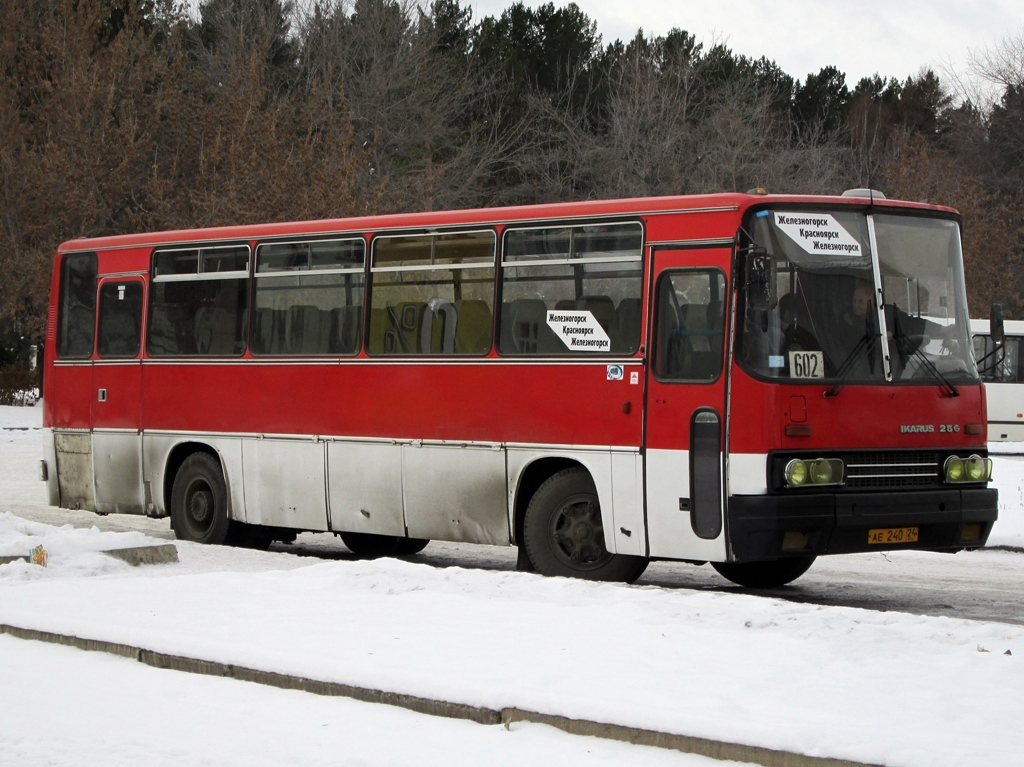 Zheleznogorsk (Krasnoyarskiy krai), Ikarus 256.74 # АЕ 240 24
