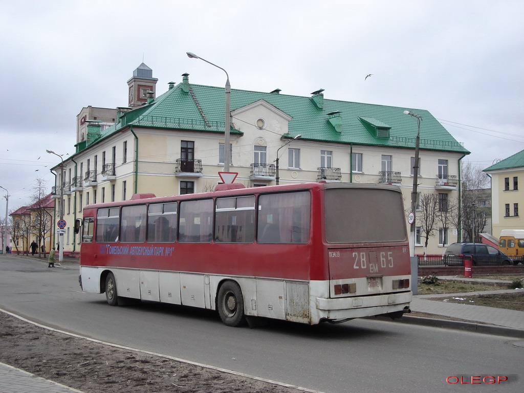 Gomel, Ikarus 250.** # 013439