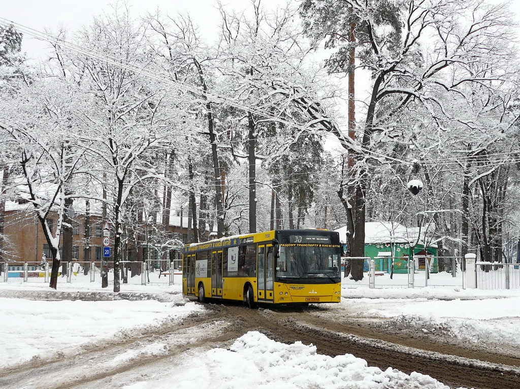 Kyiv, MAZ-203.065 No. 7550