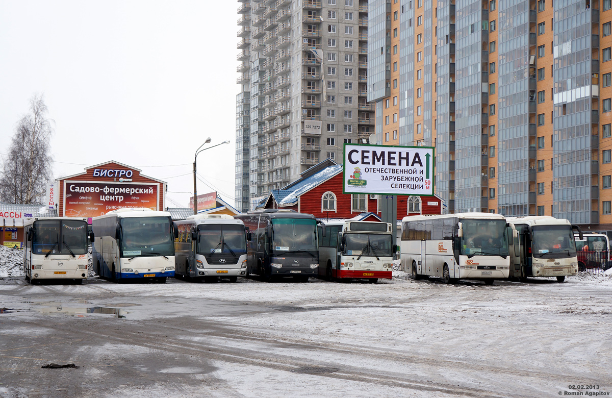 Saint Petersburg — Miscellaneous photos