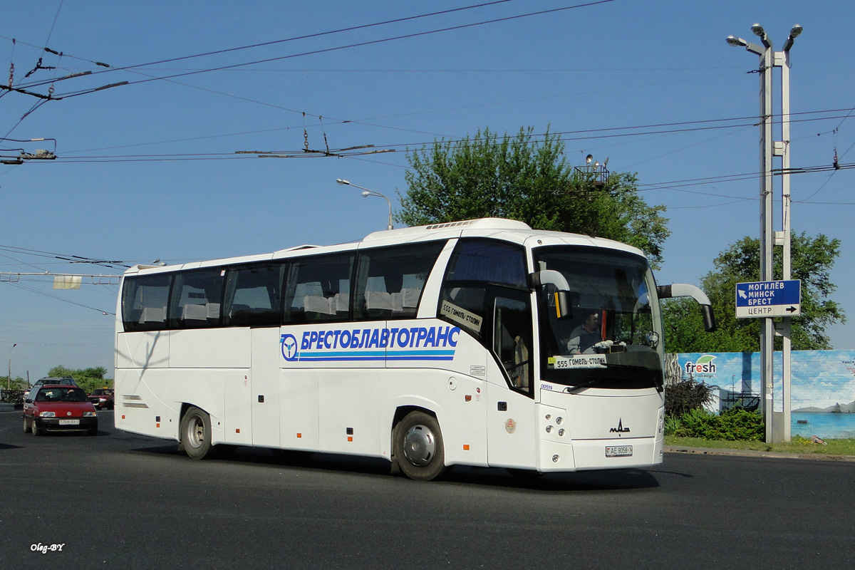 Stolin, МАЗ-251.050 No. 00519