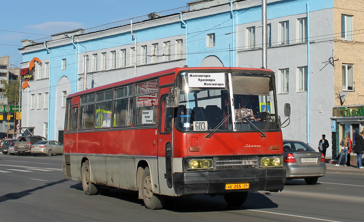 Zheleznogorsk (Krasnoyarskiy krai), Ikarus 256.00 # АЕ 255 24