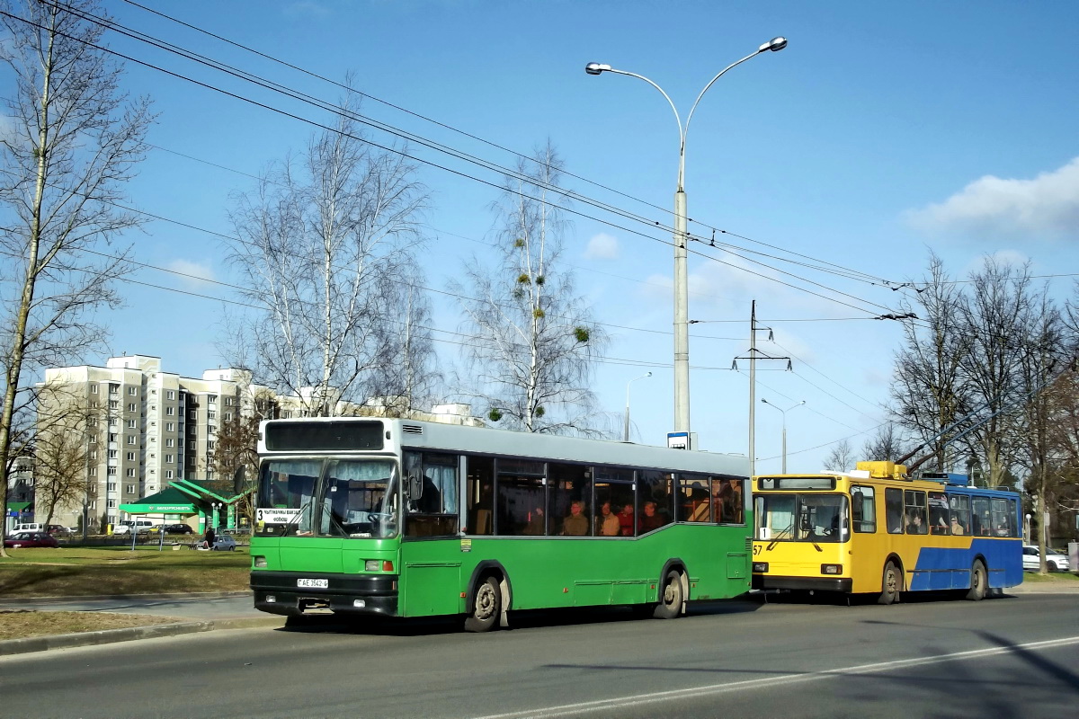 Grodna, MAZ-104.031 # 040266