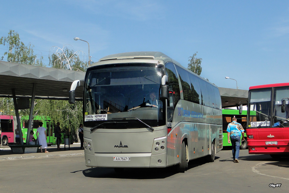 Gomel, MAZ-251.050 # 014613