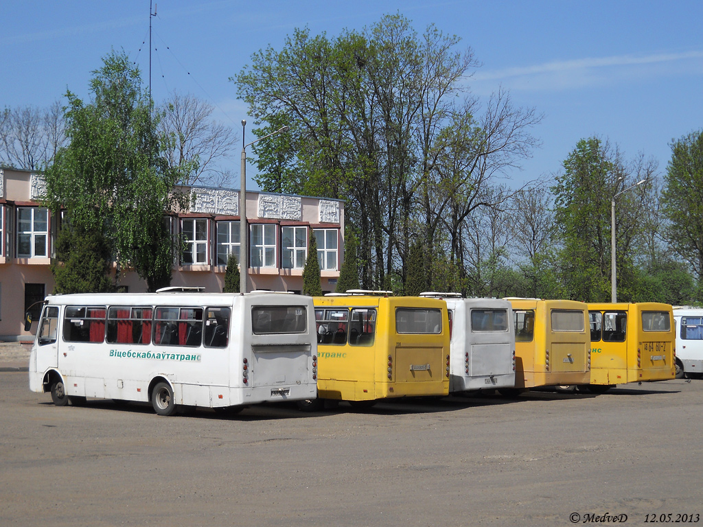 Vitebsk — Miscellaneous photos