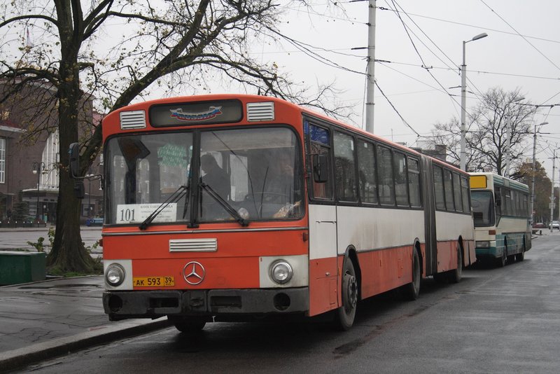 Gurievsk (Калининградская обл), Mercedes-Benz O305G # АК 593 39