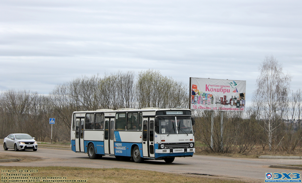 Zelenogorsk, Ikarus 263.10 # Е 664 КМ 24