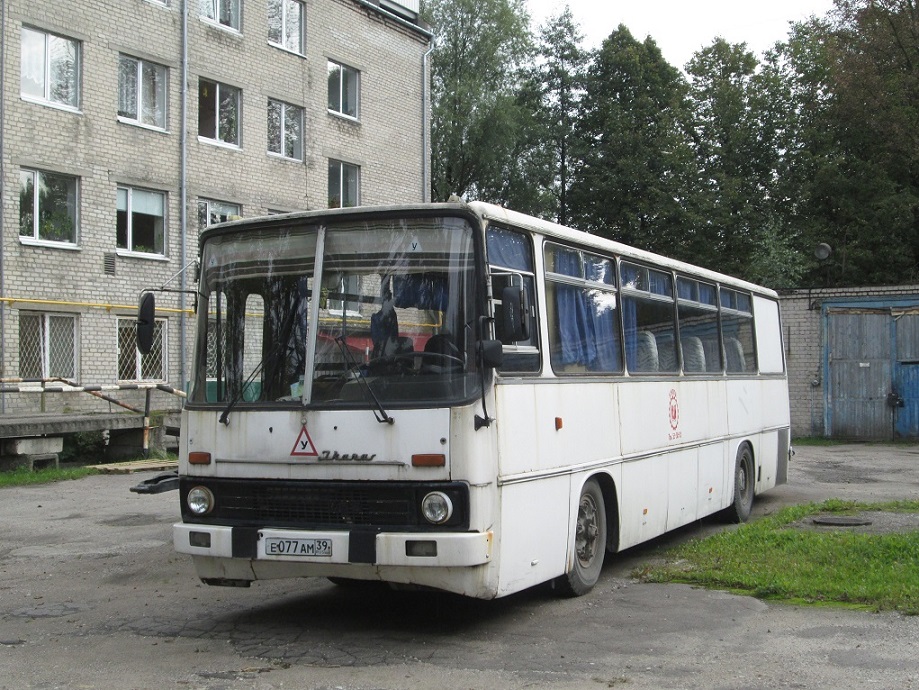 Kaliningrad, Ikarus 256.51 # Е 077 АМ 39