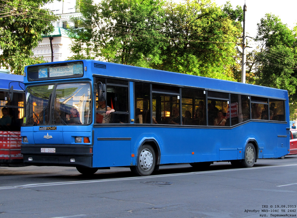 Mogilev, MAZ-104.С20 # ТЕ 2442