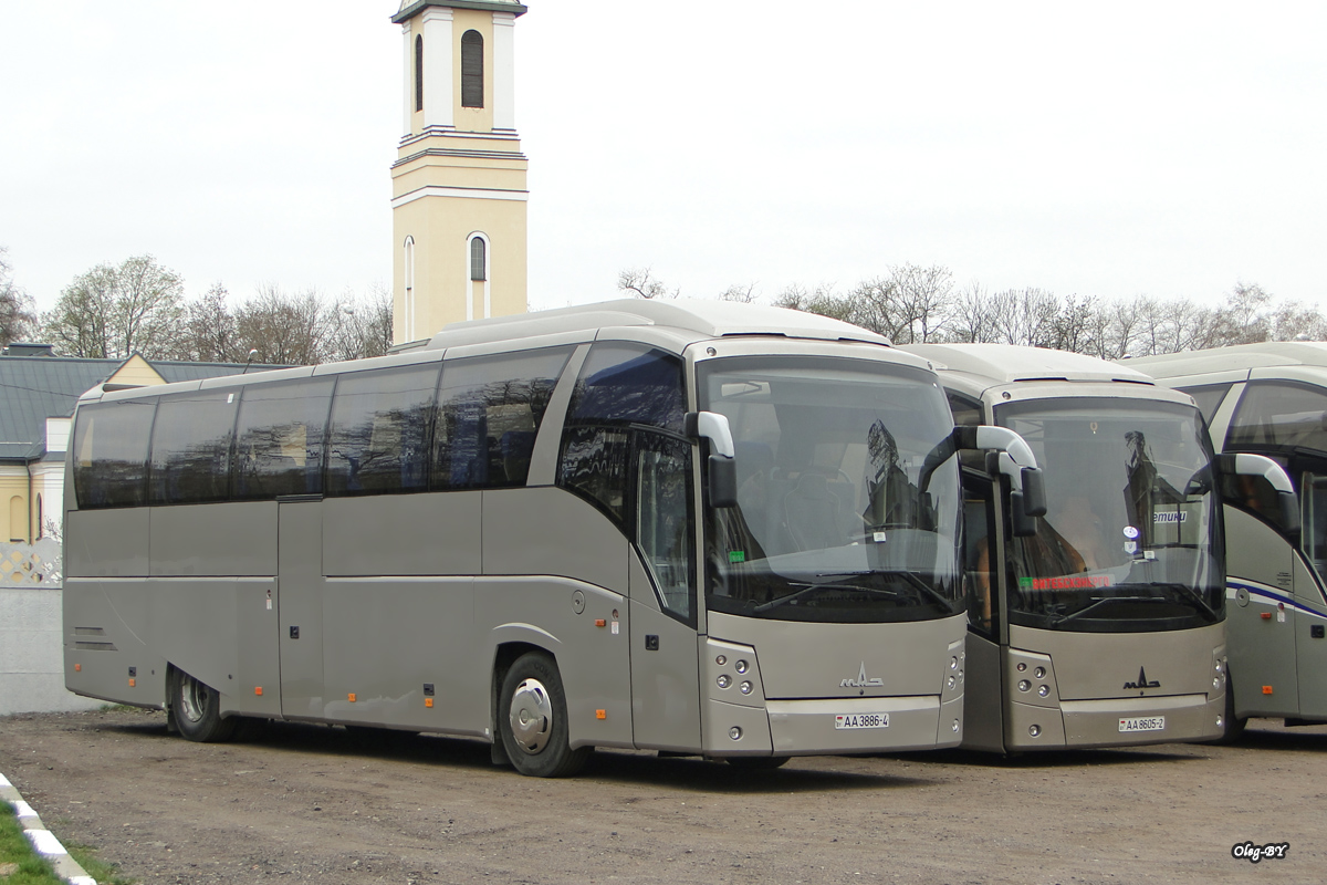 Grodna, MAZ-251.*** # АА 3886-4