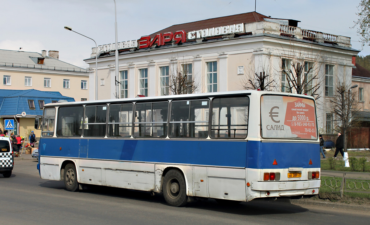 Zheleznogorsk (Krasnoyarskiy krai), Ikarus 260.50 č. АЕ 389 24