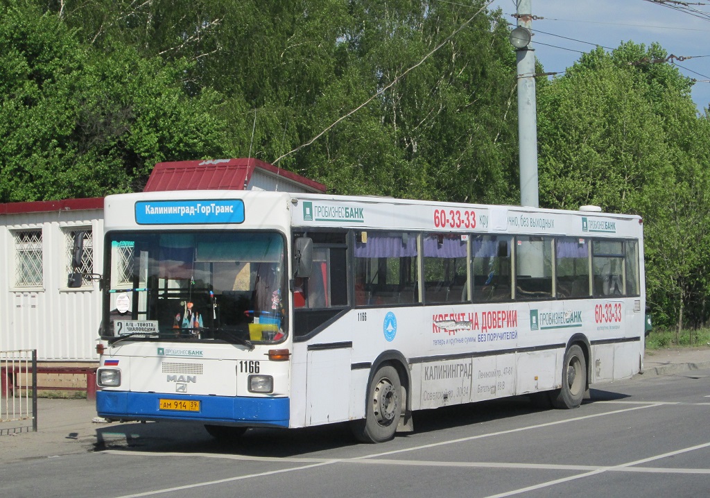 Kaliningrad, MAN 888 SÜ242 nr. 1166