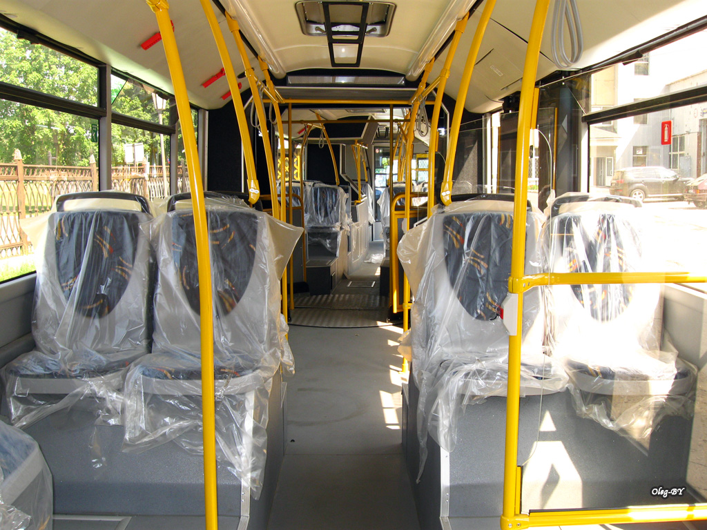 Gomel, MAZ-215.169 # 036919