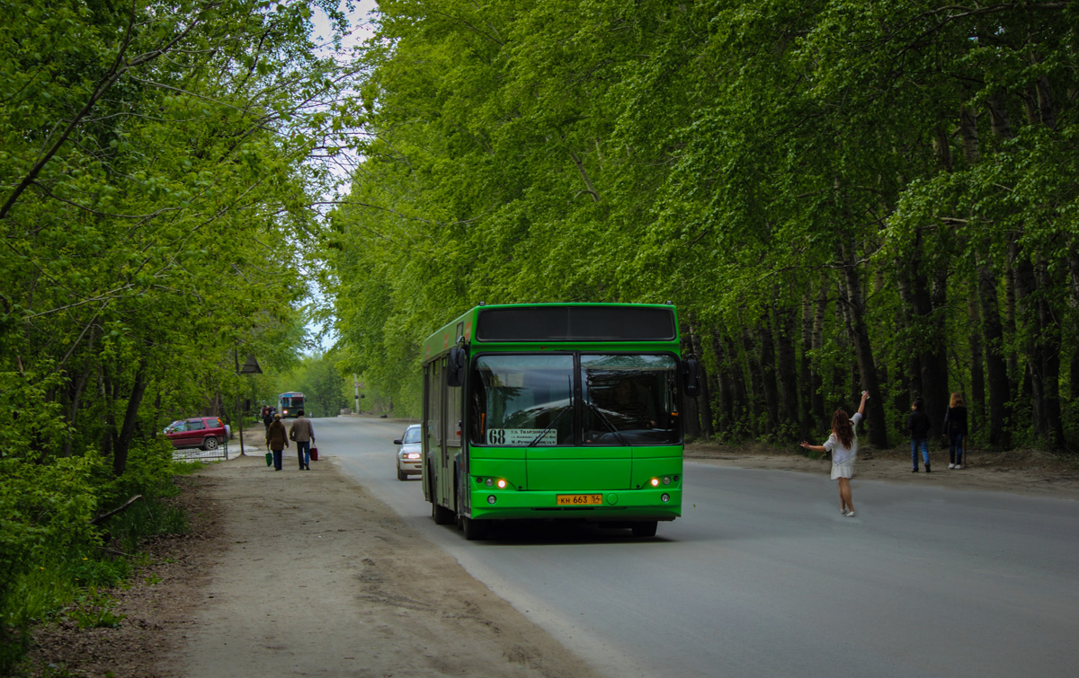 Новосибирск, МАЗ-103.465 № 4117