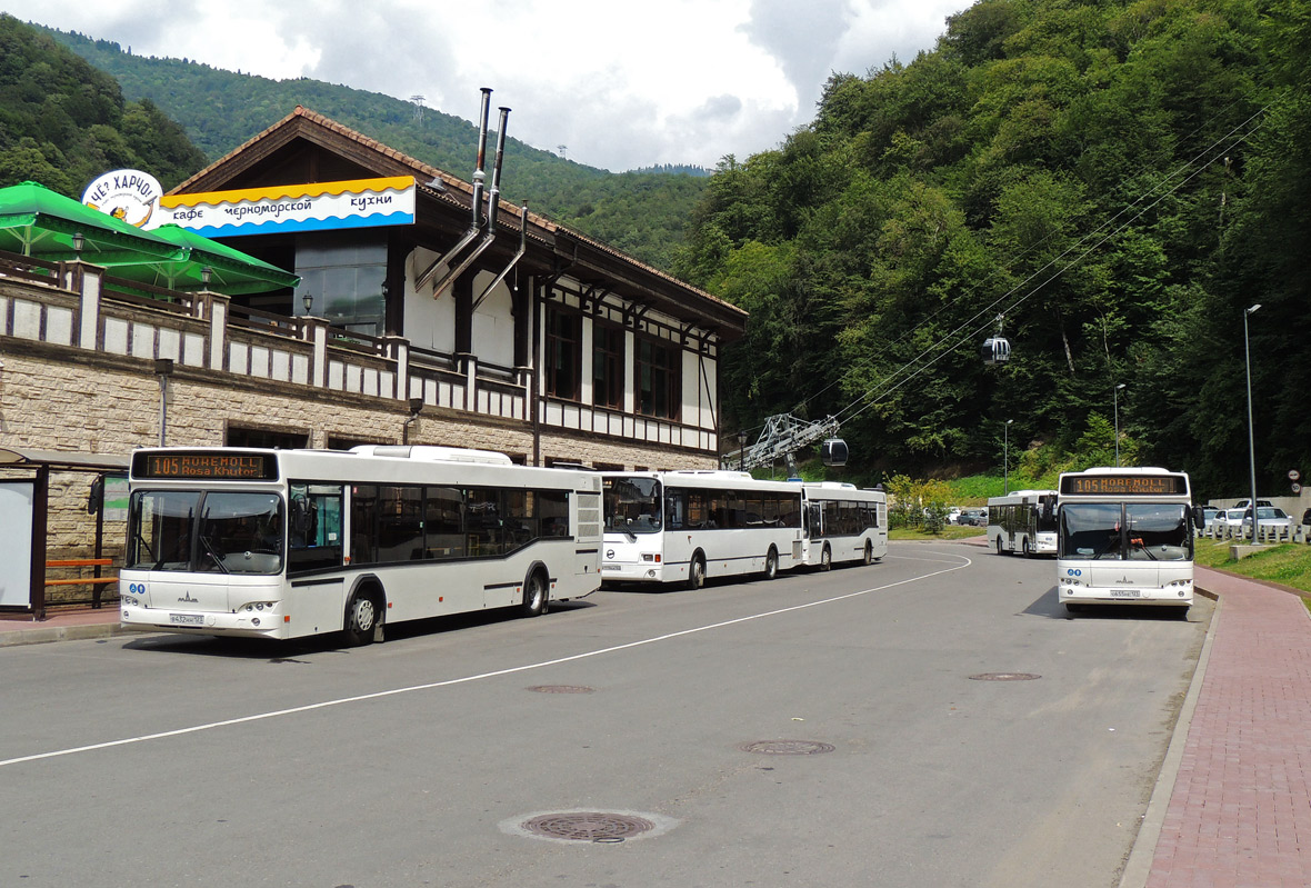 Sochi — Miscellaneous photos