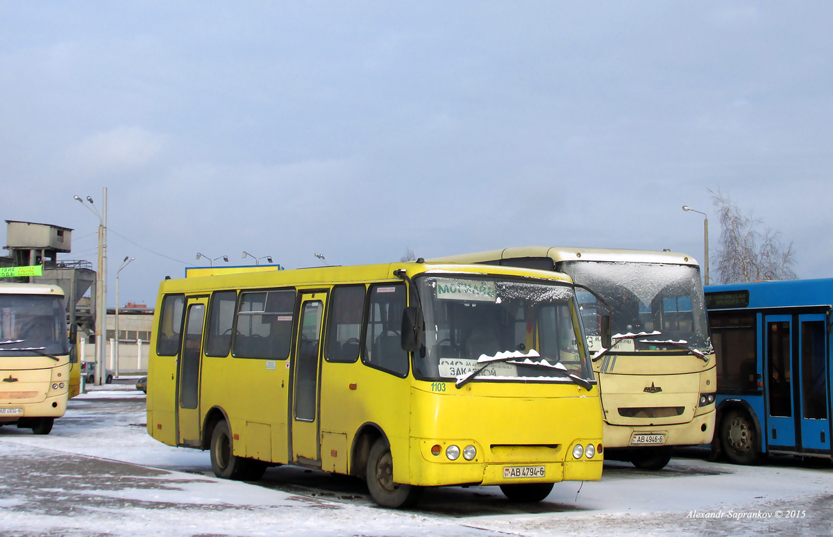 Mogilev, Radzimich А09202 # 1103