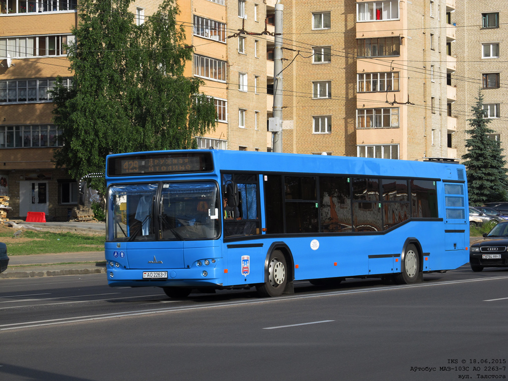 Minsk, MAZ-103.562 # 061832