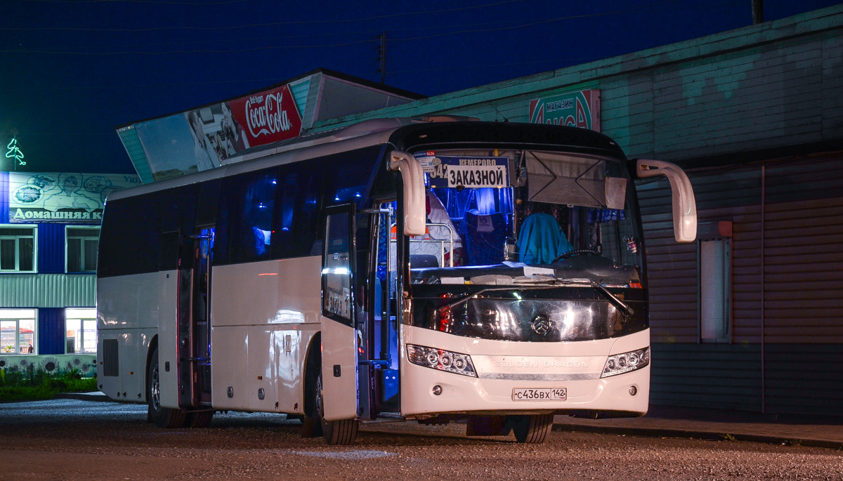 Kemerovo, Golden Dragon XML6127JR Snow Leopard # 68436