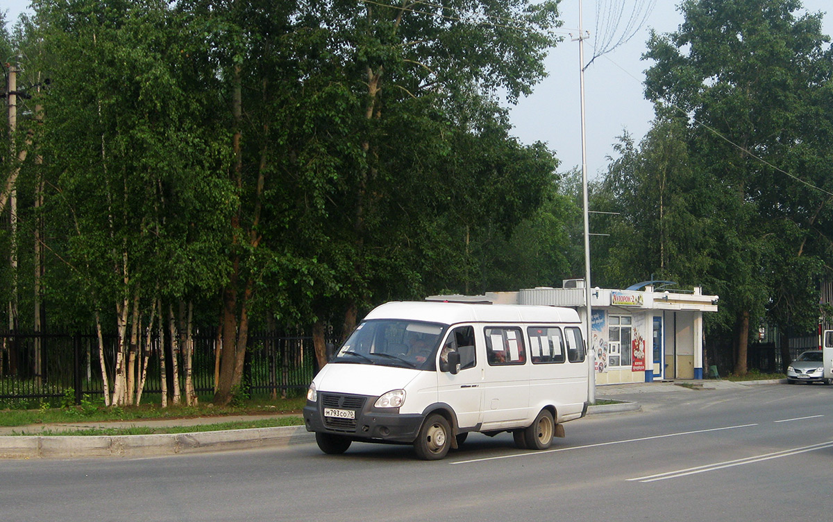Strezhevoy, GAZ-322130 № М 793 СО 70