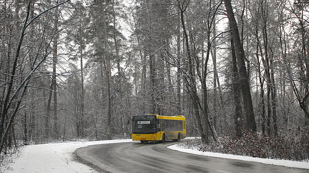Kyiv, MAZ-203.065 # 7588