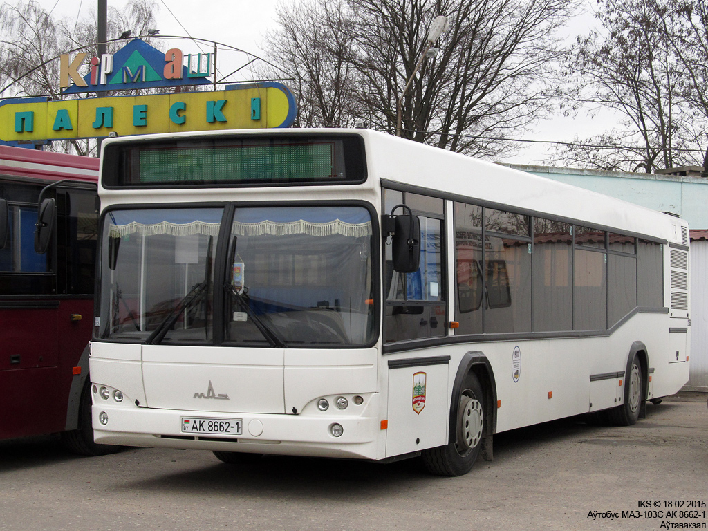 Baranovichi, MAZ-103.564 # 22050