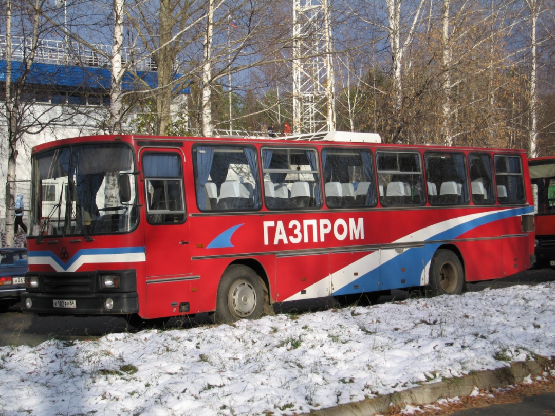 Чайковский, TAM-190A110T № К 182 РУ 59