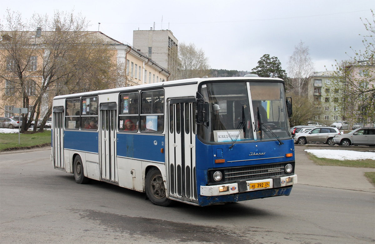 Железногорск (Красноярский край), Ikarus 260.50 № АЕ 392 24
